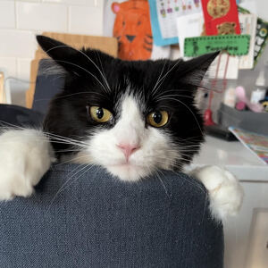 Fundraising Page: Susan Lim